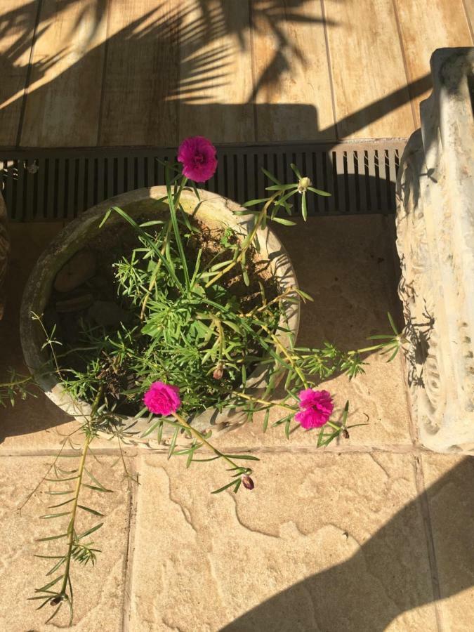 Pousada Florestinha Tamoios Buitenkant foto